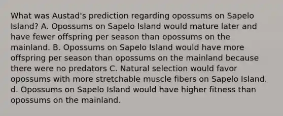 What was Austad's prediction regarding opossums on Sapelo Island? A. Opossums on Sapelo Island would mature later and have fewer offspring per season than opossums on the mainland. B. Opossums on Sapelo Island would have more offspring per season than opossums on the mainland because there were no predators C. Natural selection would favor opossums with more stretchable muscle fibers on Sapelo Island. d. Opossums on Sapelo Island would have higher fitness than opossums on the mainland.