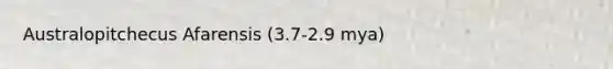 Australopitchecus Afarensis (3.7-2.9 mya)
