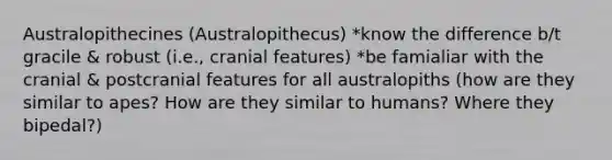 Australopithecines (Australopithecus) *know the difference b/t gracile & robust (i.e., cranial features) *be famialiar with the cranial & postcranial features for all australopiths (how are they similar to apes? How are they similar to humans? Where they bipedal?)