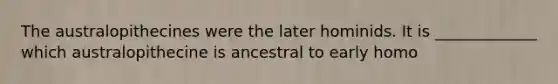 The australopithecines were the later hominids. It is _____________ which australopithecine is ancestral to early homo