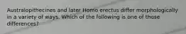 Australopithecines and later Homo erectus differ morphologically in a variety of ways. Which of the following is one of those differences?