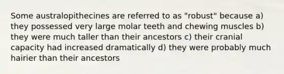 Some australopithecines are referred to as "robust" because a) they possessed very large molar teeth and chewing muscles b) they were much taller than their ancestors c) their cranial capacity had increased dramatically d) they were probably much hairier than their ancestors