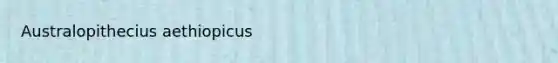 Australopithecius aethiopicus