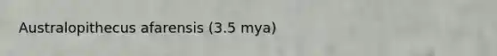 Australopithecus afarensis (3.5 mya)
