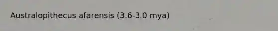 Australopithecus afarensis (3.6-3.0 mya)