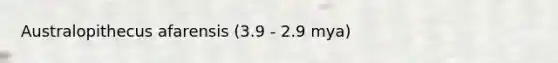 Australopithecus afarensis (3.9 - 2.9 mya)