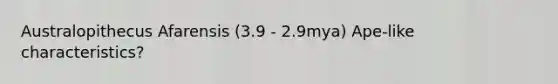 Australopithecus Afarensis (3.9 - 2.9mya) Ape-like characteristics?