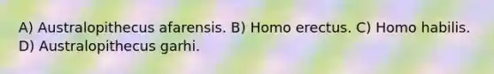 A) Australopithecus afarensis. B) Homo erectus. C) Homo habilis. D) Australopithecus garhi.