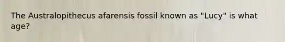 The Australopithecus afarensis fossil known as "Lucy" is what age?