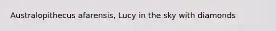 Australopithecus afarensis, Lucy in the sky with diamonds