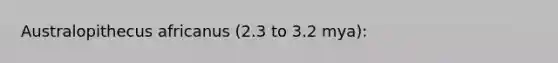 Australopithecus africanus (2.3 to 3.2 mya):