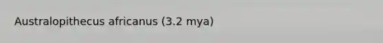 Australopithecus africanus (3.2 mya)