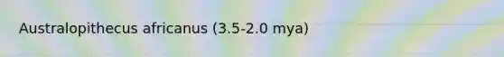 Australopithecus africanus (3.5-2.0 mya)