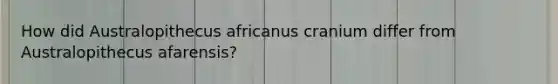 How did Australopithecus africanus cranium differ from Australopithecus afarensis?