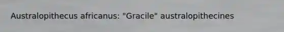 Australopithecus africanus: "Gracile" australopithecines