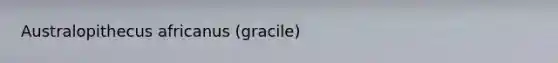 Australopithecus africanus (gracile)