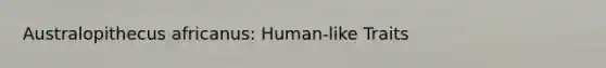 Australopithecus africanus: Human-like Traits