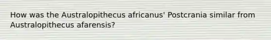 How was the Australopithecus africanus' Postcrania similar from Australopithecus afarensis?