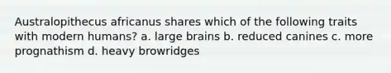 Australopithecus africanus shares which of the following traits with modern humans? a. large brains b. reduced canines c. more prognathism d. heavy browridges