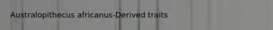 Australopithecus africanus-Derived traits