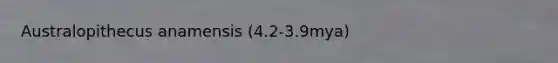Australopithecus anamensis (4.2-3.9mya)