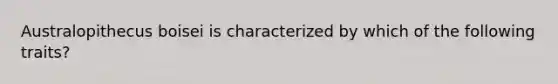 Australopithecus boisei is characterized by which of the following traits?