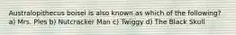 Australopithecus boisei is also known as which of the following? a) Mrs. Ples b) Nutcracker Man c) Twiggy d) The Black Skull