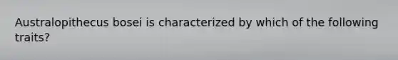 Australopithecus bosei is characterized by which of the following traits?