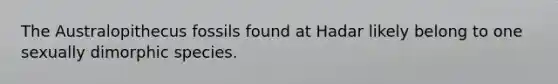 The Australopithecus fossils found at Hadar likely belong to one sexually dimorphic species.
