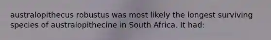 australopithecus robustus was most likely the longest surviving species of australopithecine in South Africa. It had: