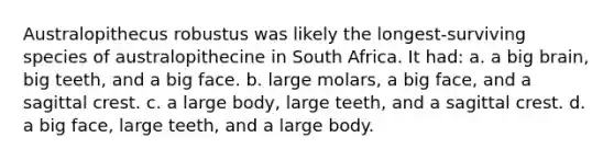 Australopithecus robustus was likely the longest-surviving species of australopithecine in South Africa. It had: a. a big brain, big teeth, and a big face. b. large molars, a big face, and a sagittal crest. c. a large body, large teeth, and a sagittal crest. d. a big face, large teeth, and a large body.