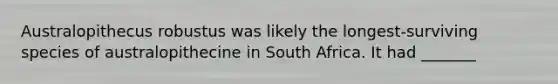 Australopithecus robustus was likely the longest-surviving species of australopithecine in South Africa. It had _______