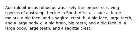 Australopithecus robustus was likely the longest-surviving species of australopithecine in South Africa. It had: a. large molars, a big face, and a sagittal crest. b. a big face, large teeth, and a large body. c. a big brain, big teeth, and a big face. d. a large body, large teeth, and a sagittal crest.