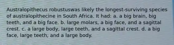 Australopithecus robustuswas likely the longest-surviving species of australopithecine in South Africa. It had: a. a big brain, big teeth, and a big face. b. large molars, a big face, and a sagittal crest. c. a large body, large teeth, and a sagittal crest. d. a big face, large teeth, and a large body.