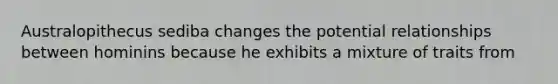 Australopithecus sediba changes the potential relationships between hominins because he exhibits a mixture of traits from