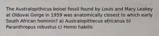 The Australopithicus boisei fossil found by Louis and Mary Leakey at Olduvai Gorge in 1959 was anatomically closest to which early South African hominin? a) Australopithecus africanus b) Paranthropus robustus c) Homo habilis