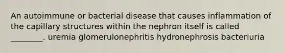 An autoimmune or bacterial disease that causes inflammation of the capillary structures within the nephron itself is called ________. uremia glomerulonephritis hydronephrosis bacteriuria