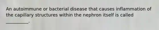 An autoimmune or bacterial disease that causes inflammation of the capillary structures within the nephron itself is called __________.