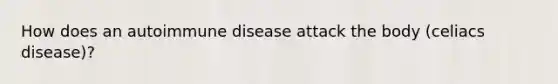 How does an autoimmune disease attack the body (celiacs disease)?