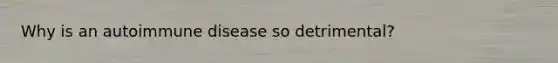 Why is an autoimmune disease so detrimental?