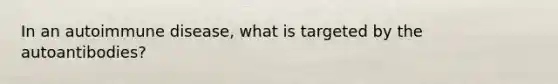 In an autoimmune disease, what is targeted by the autoantibodies?