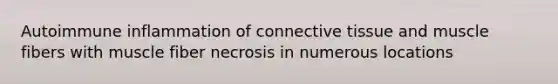 Autoimmune inflammation of connective tissue and muscle fibers with muscle fiber necrosis in numerous locations