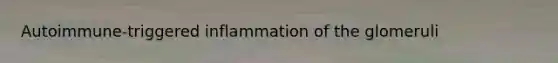 Autoimmune-triggered inflammation of the glomeruli