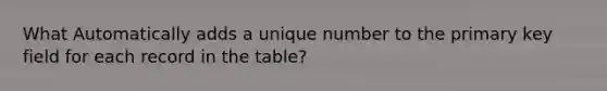 What Automatically adds a unique number to the primary key field for each record in the table?