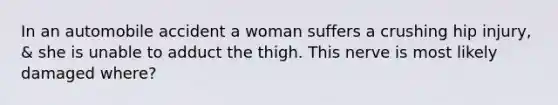 In an automobile accident a woman suffers a crushing hip injury, & she is unable to adduct the thigh. This nerve is most likely damaged where?