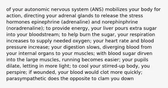 of your autonomic nervous system (ANS) mobilizes your body for action, directing your adrenal glands to release the stress hormones epinephrine (adrenaline) and norephinphrine (noradrenaline); to provide energy, your liver pours extra sugar into your bloodstream; to help burn the sugar, your respiration increases to supply needed oxygen; your heart rate and blood pressure increase; your digestion slows, diverging blood from your internal organs to your muscles; with blood sugar dirven into the large muscles, running becomes easier; your pupils dilate, letting in more light; to cool your stirred-up body, you perspire; if wounded, your blood would clot more quickly; parasympathetic does the opposite to clam you down