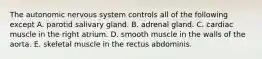 The autonomic nervous system controls all of the following except A. parotid salivary gland. B. adrenal gland. C. cardiac muscle in the right atrium. D. smooth muscle in the walls of the aorta. E. skeletal muscle in the rectus abdominis.