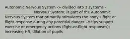 Autonomic Nervous System -> divided into 3 systems -________________Nervous System: is part of the Autonomic Nervous System that primarily stimulates the body's fight or flight response during any potential danger. -Helps support exercise or emergency actions (fight-or-flight responses); increasing HR, dilation of pupils