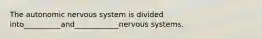 The autonomic nervous system is divided into__________and____________nervous systems.