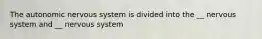 The autonomic nervous system is divided into the __ nervous system and __ nervous system
